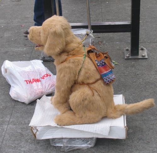 dog doll at bus stop